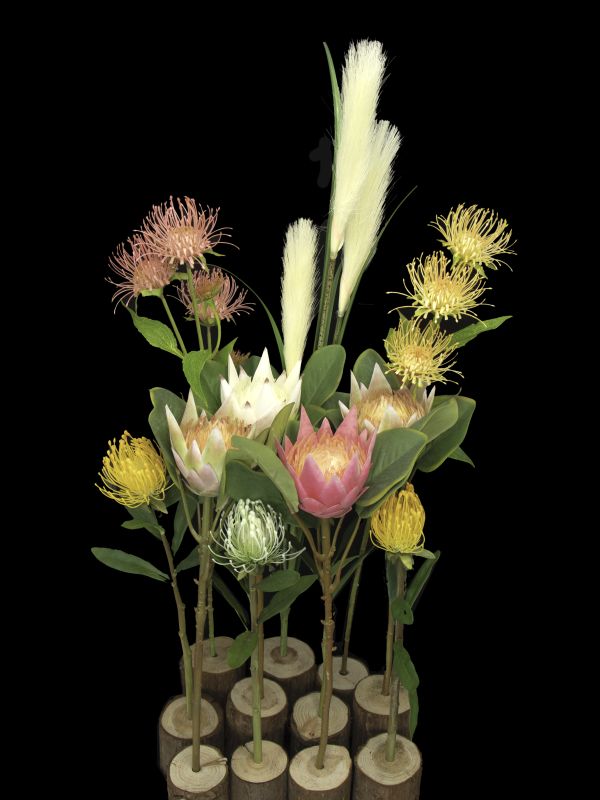 Delicious Display | Observatory
