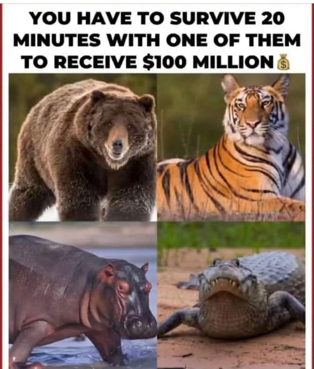 🤔🤔🤔... | Facebook