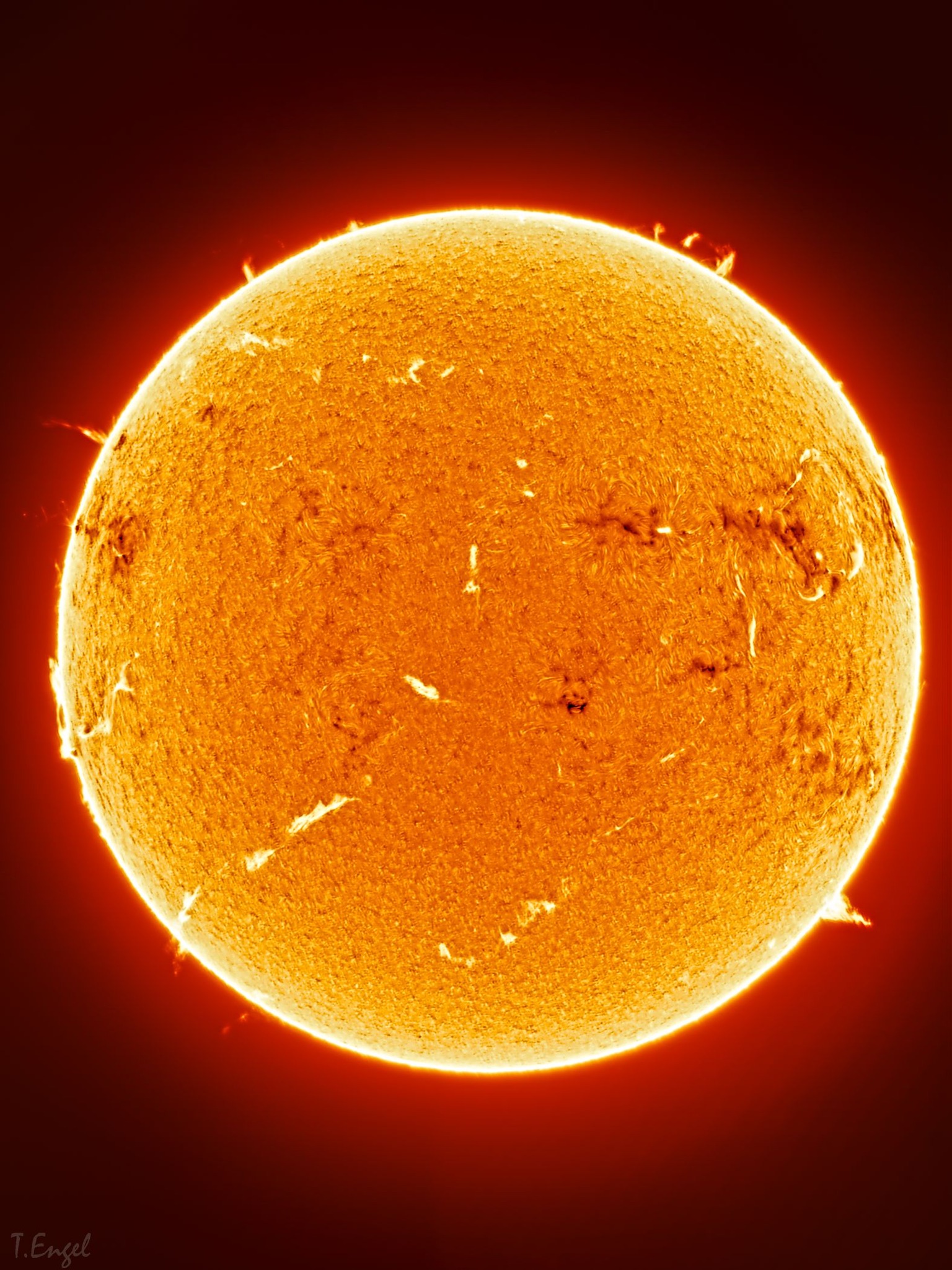 Sun in H-alpha, March 9, 2026, 1:21 PM. Taken under decent seeing