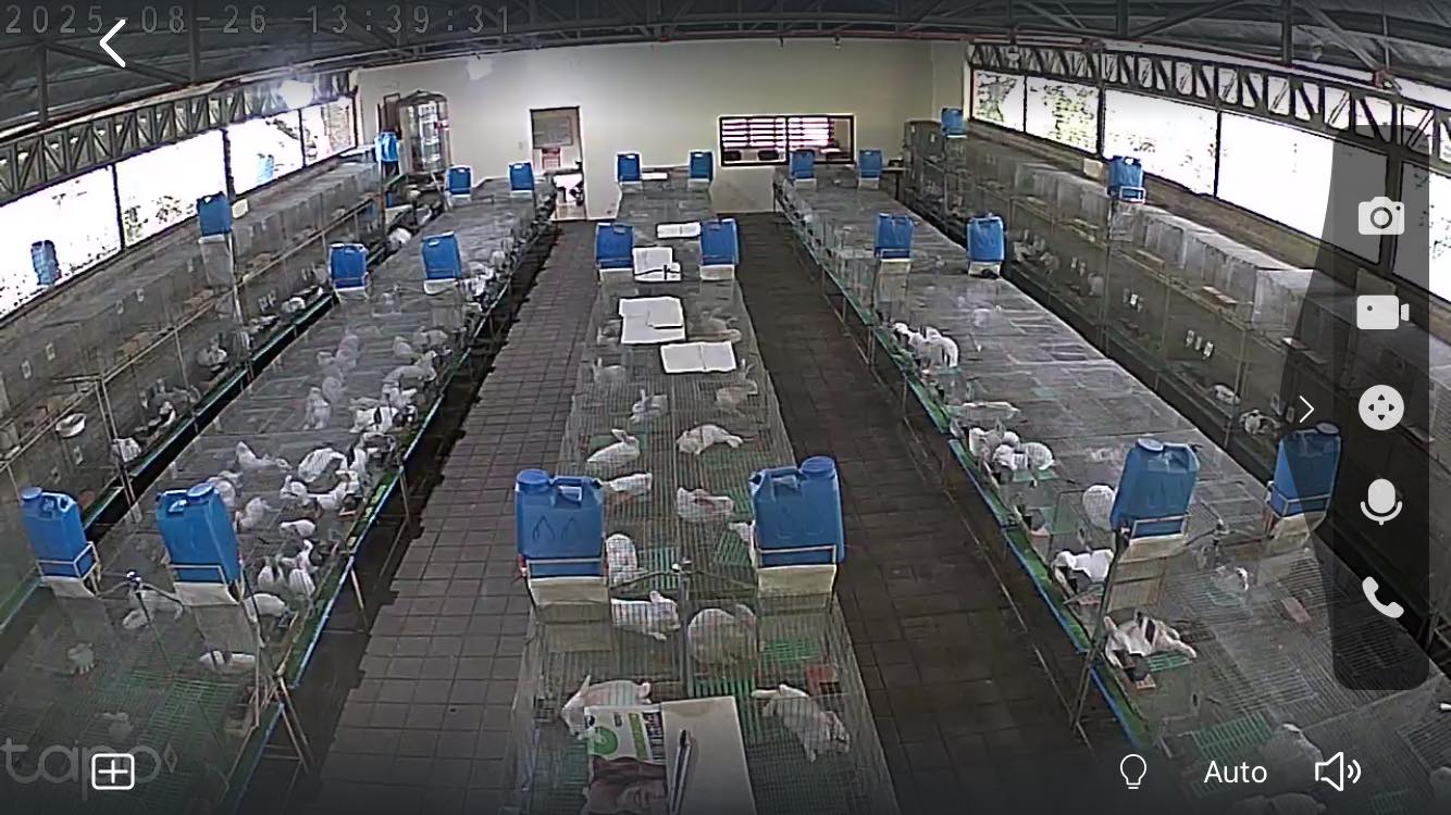 Rabbit Raisers and Meat Producers Cooperative | Baliuag
