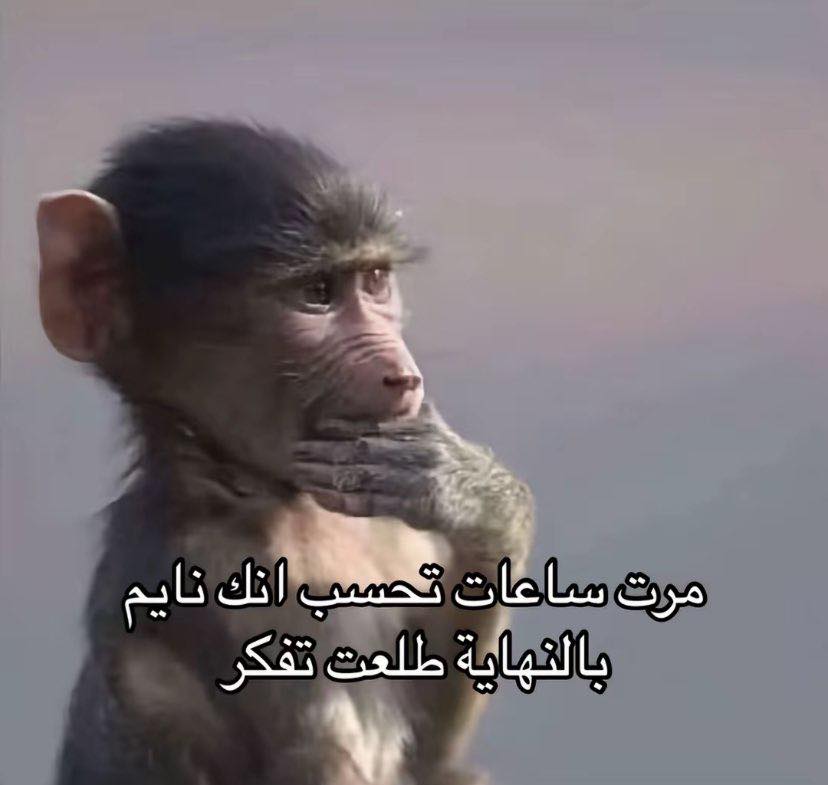 Mohamed Zayn