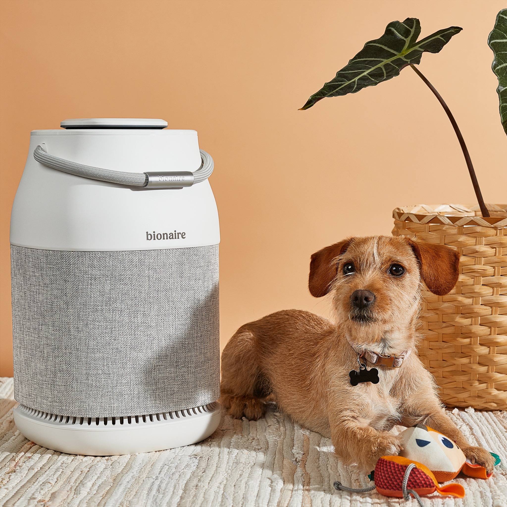 Bionaire - Happy National Pet Day! The Bionaire True HEPA 360° UV Air