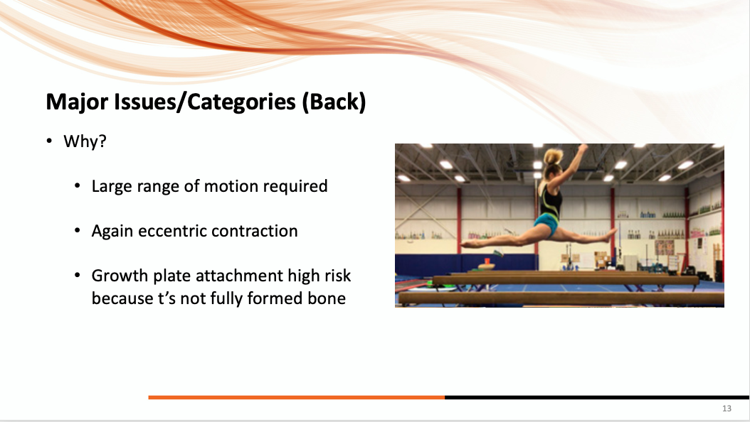 Common... - SHIFT Movement Science and Gymnastics Education