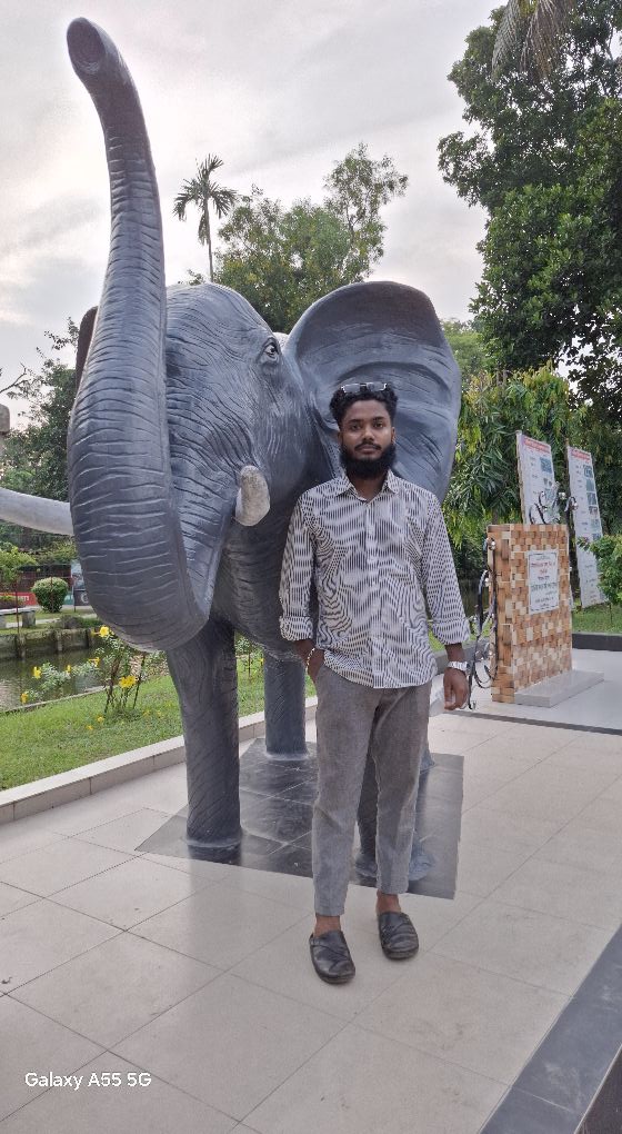 MD Rasel Sheikh