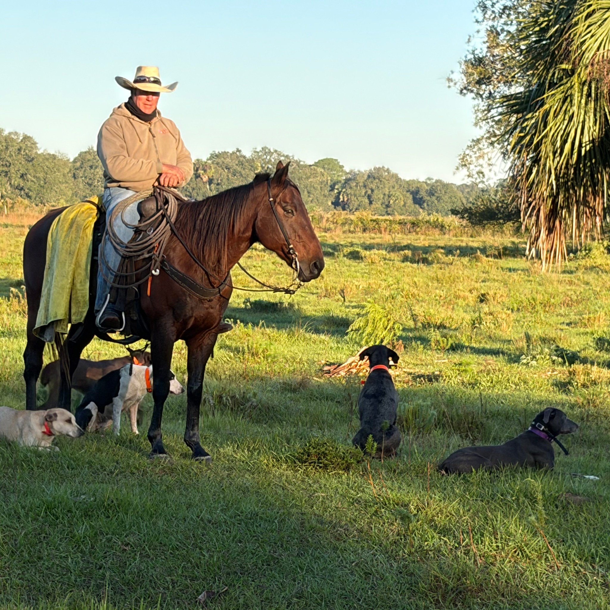 MS Cattlemen's Group | Three Trees Ranch, Sharpsburg GA, has 50 head of ...