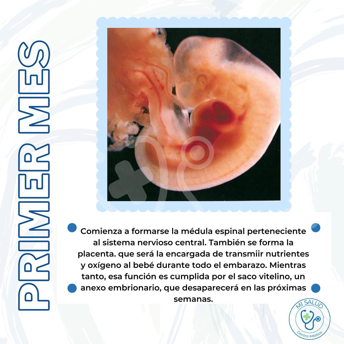¿Conoces el desarrollo de tu bebé... - Centro médico Mi Salud | Facebook