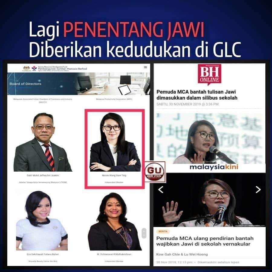 Malaysia30 Penentang Identiti Negara Dilantik Ke Jawatan Glc Hebat Mca Secara Senyap Senyap Ketua Pemudanya Nicole Wong Siaw Ting Telah Dilantik Sebagai Ahli Lembaga Majlis Pembangunan Sumber Manusia Bukti Https Www Hrdf Com My Boardofdirectors