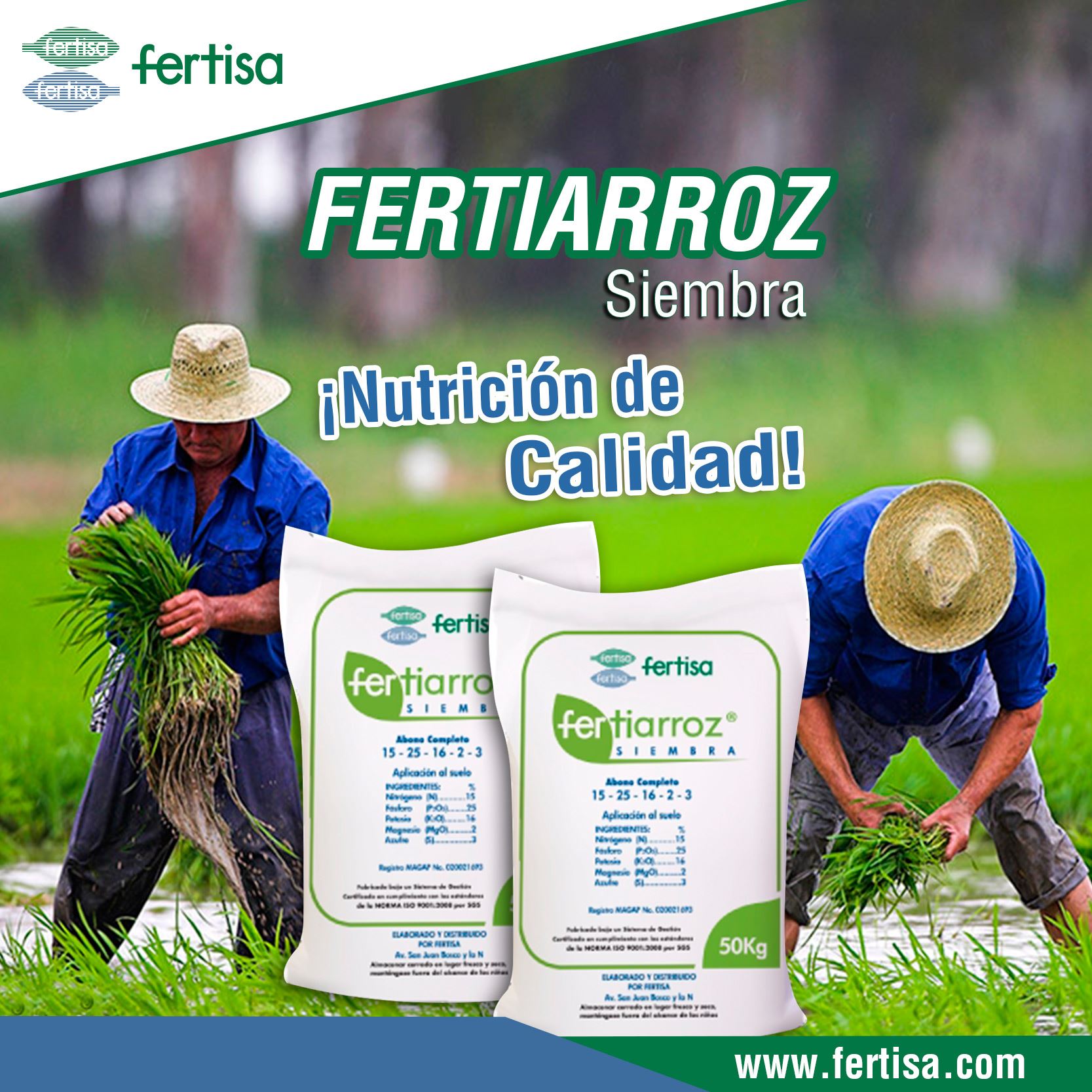 Fertisa EC - ¡Tu cultivo de #ARROZ necesita #nutrición de... | Facebook