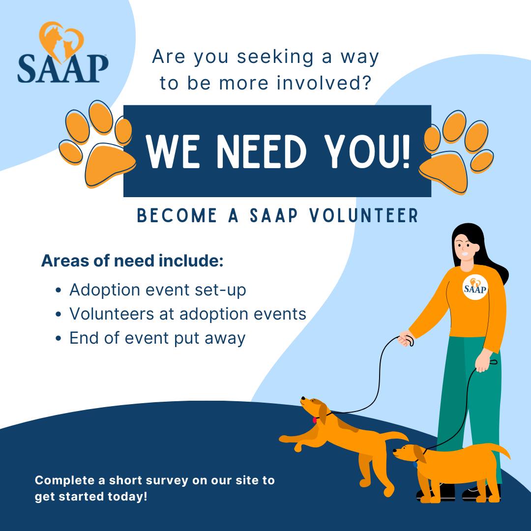 Stray Animal Adoption Program | Did you know SAAP is 100% volunteer ran ...