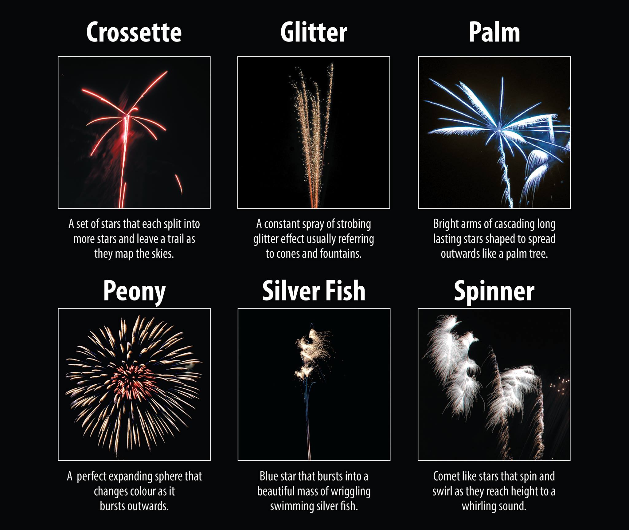 Check out our Infographic featuring... - Standard Fireworks