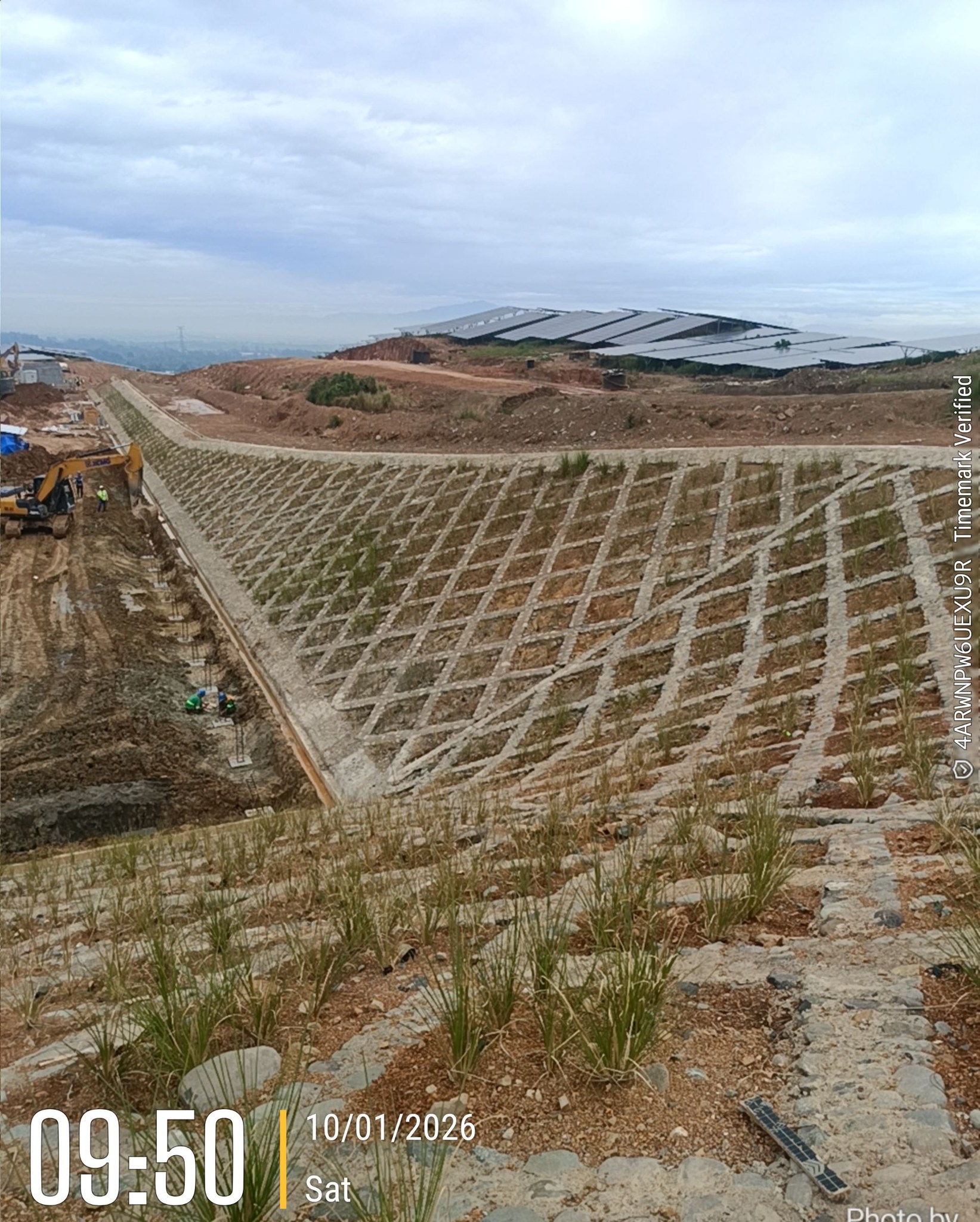 Combination of concrete and vetiver grass for erosion control... | Facebook