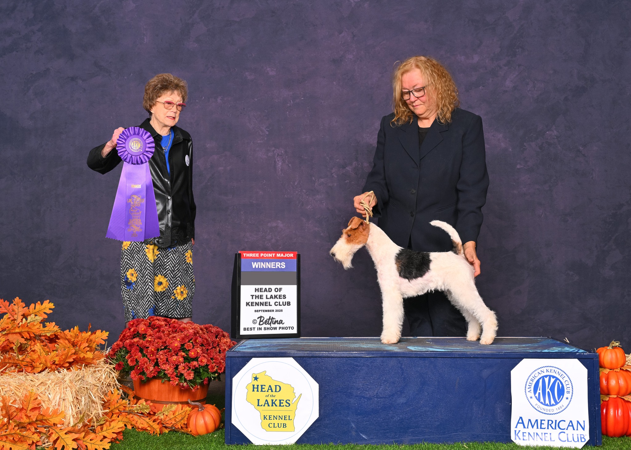 Deb - ASCOT'S FABULOUS FROLICKING FRANNY V. ALJAMAR AKA Franny took ...