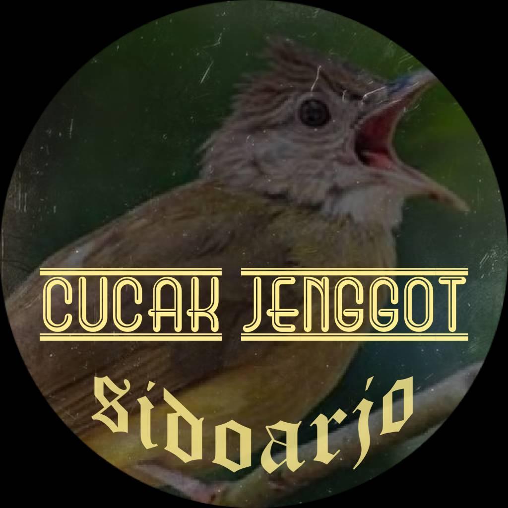 CUCAK JENGGOT SIDOARJO comunity | tokno jenggot mu | Facebook