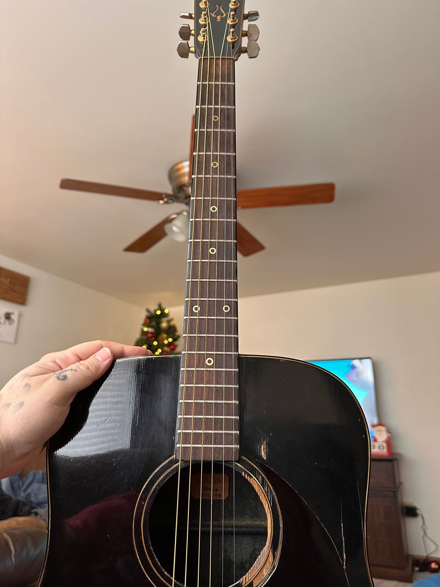 Yamaki model 118 guitar information?