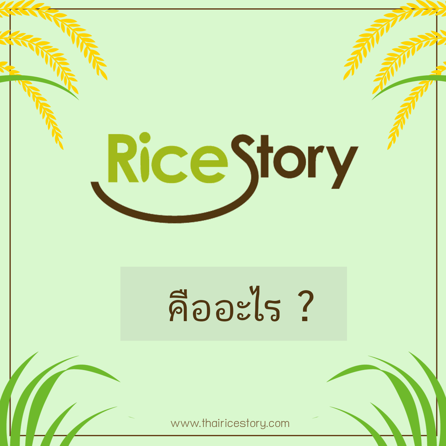 Thai Rice Story - มารู้จัก Rice Story กันเถอะ! | Facebook