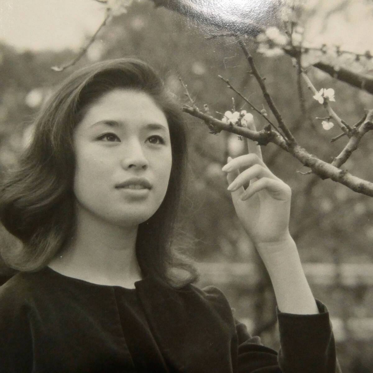 女優の松尾嘉代さん😉 サスペンスの女王と呼ばれ、 土曜ワイド劇場など