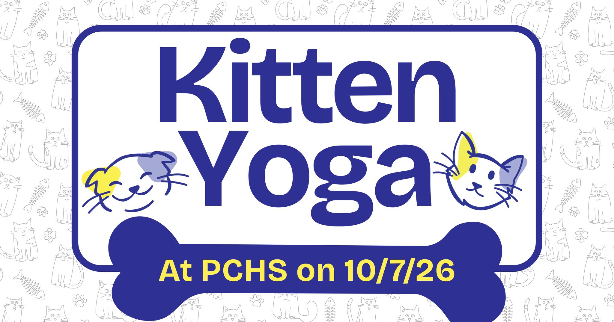 Kitten Yoga