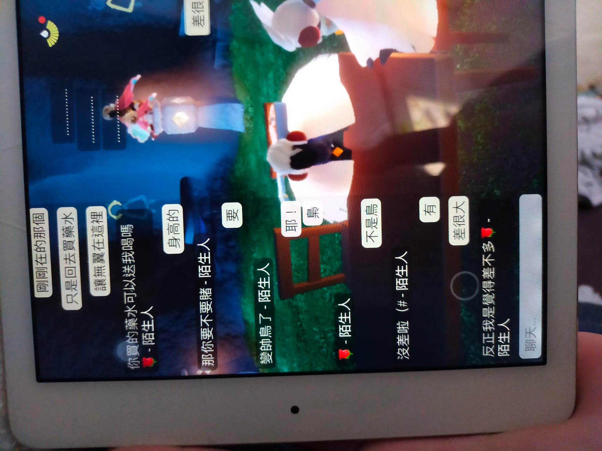 違刪白梟跟白鳥真的差不多嗎？