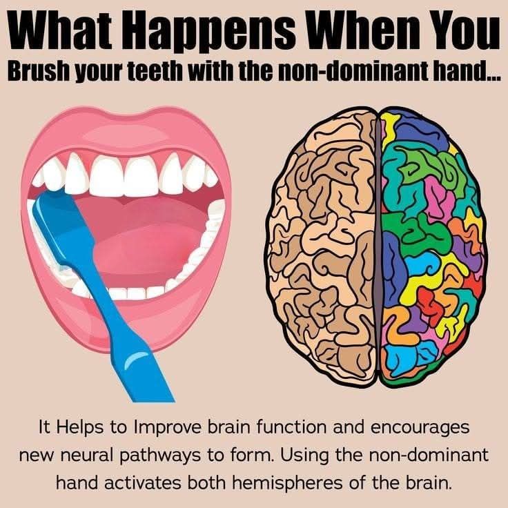 The vagus nerve starts at the base of... - Anthony Goldsmith | Facebook