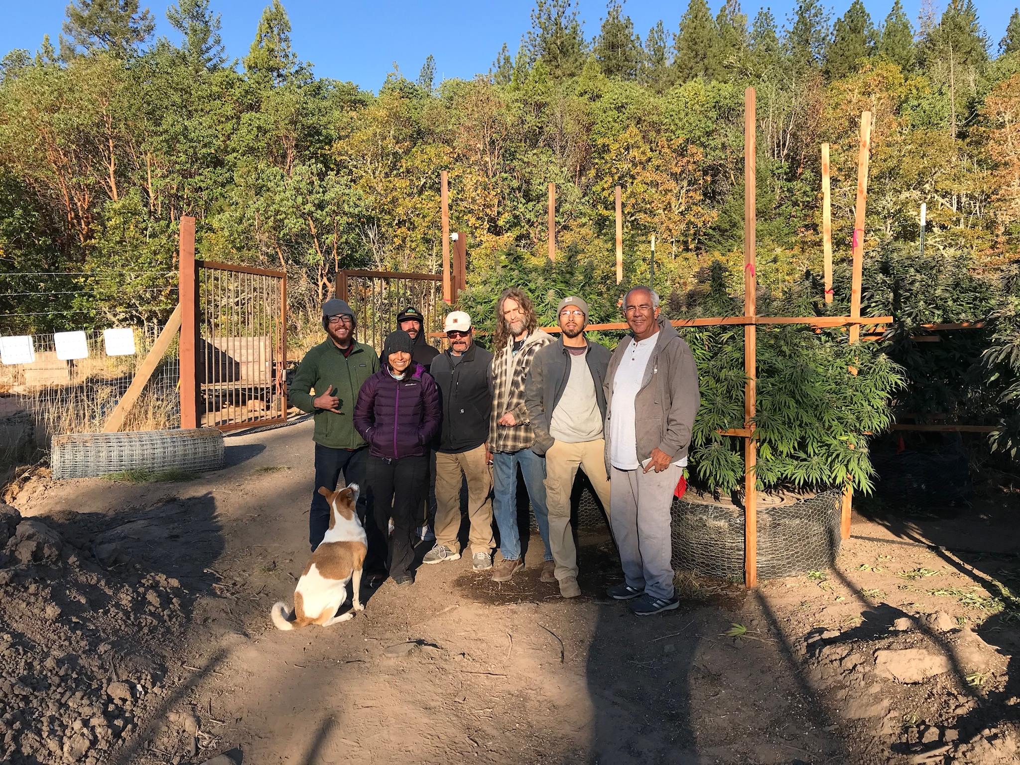 Strong Roots Farm