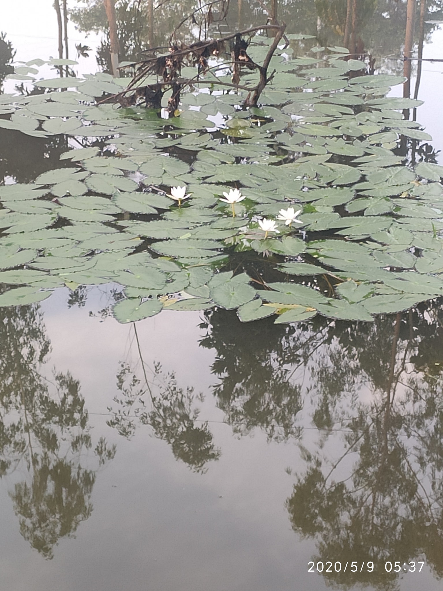 Talukder Royal Park - তালুকদার রয়েল পার্ক