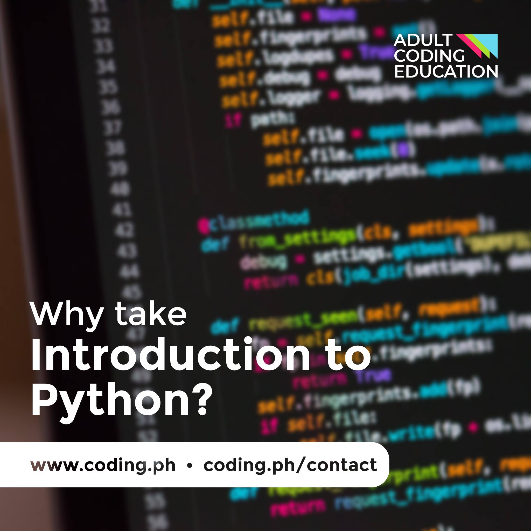 ACE Adult Coding Education | Manila