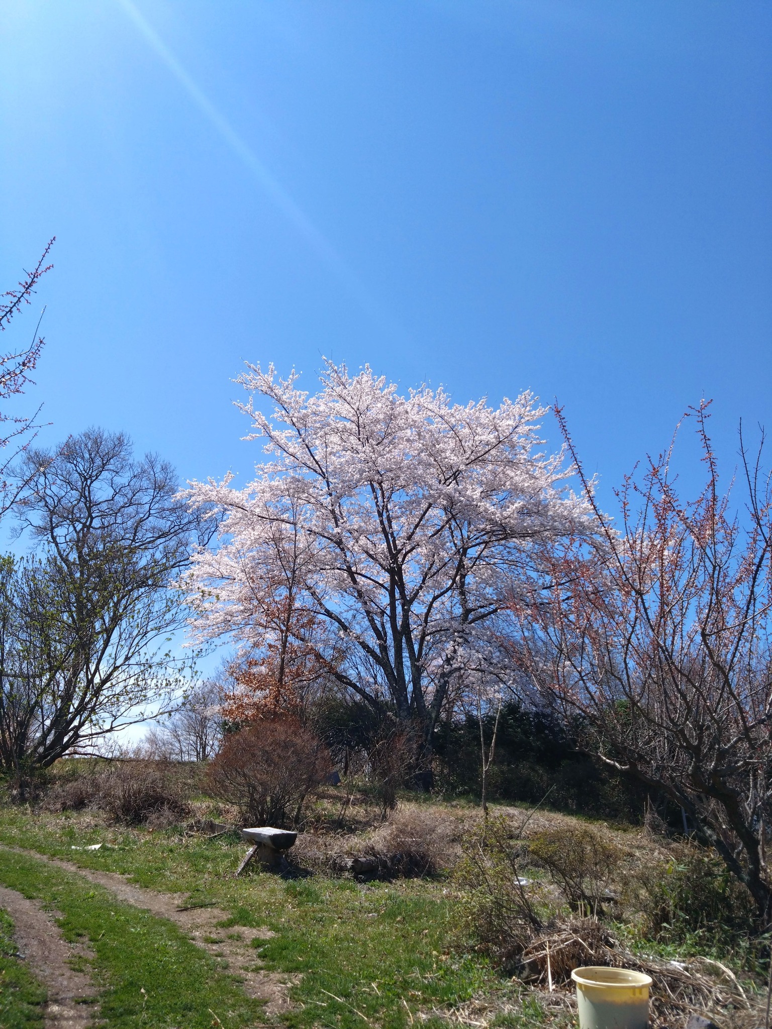 Eitaro Takano (@eitaro.takano) • Facebook
