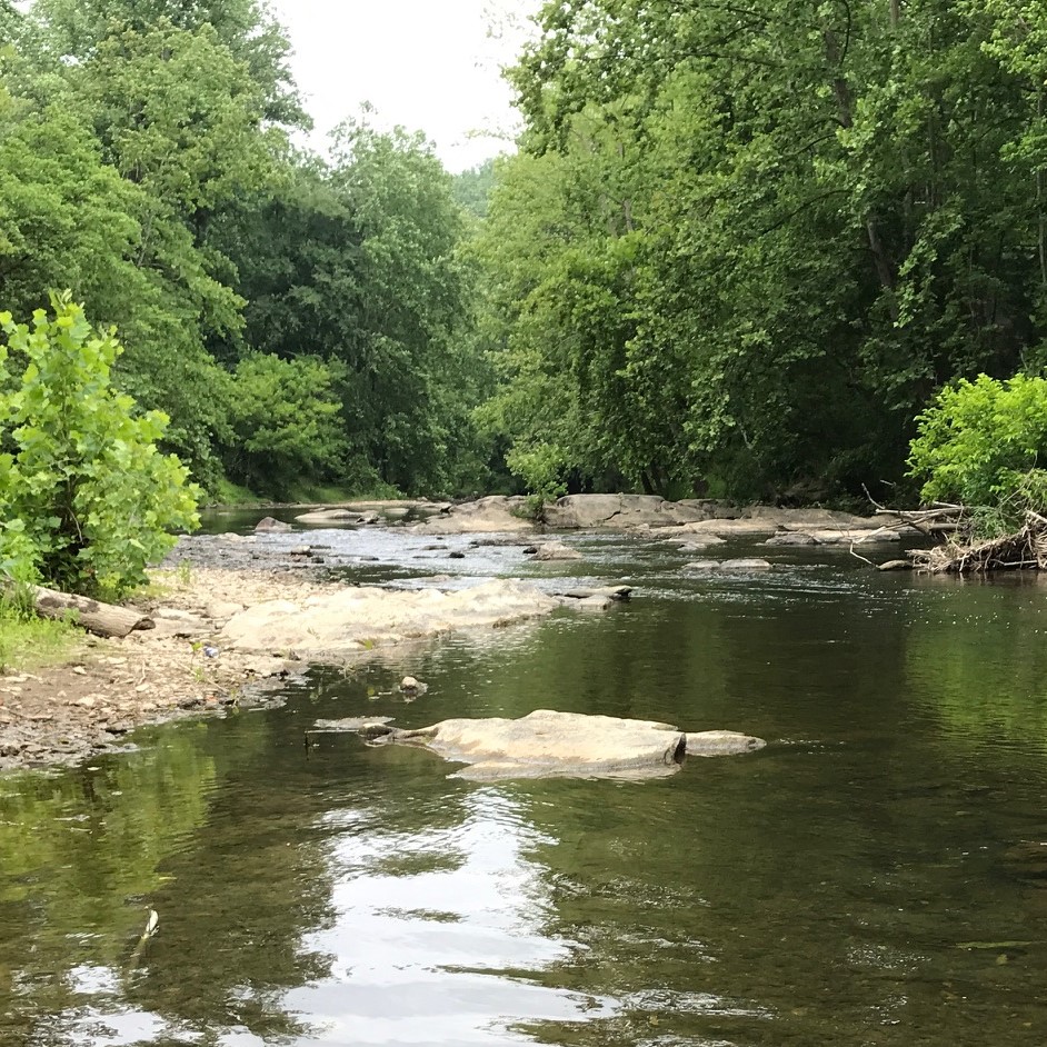 Patapsco River Fishing Report | Facebook