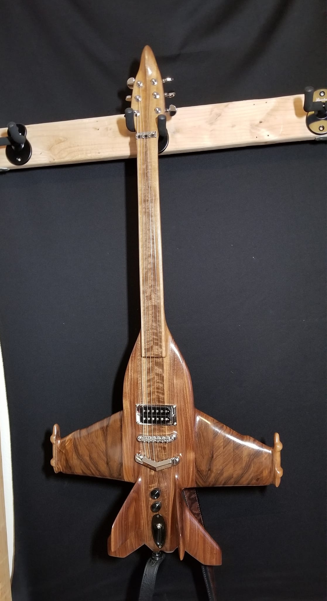 WEIRD INSTRUMENT TRIBE | EA-18G Growler guitar | Facebook