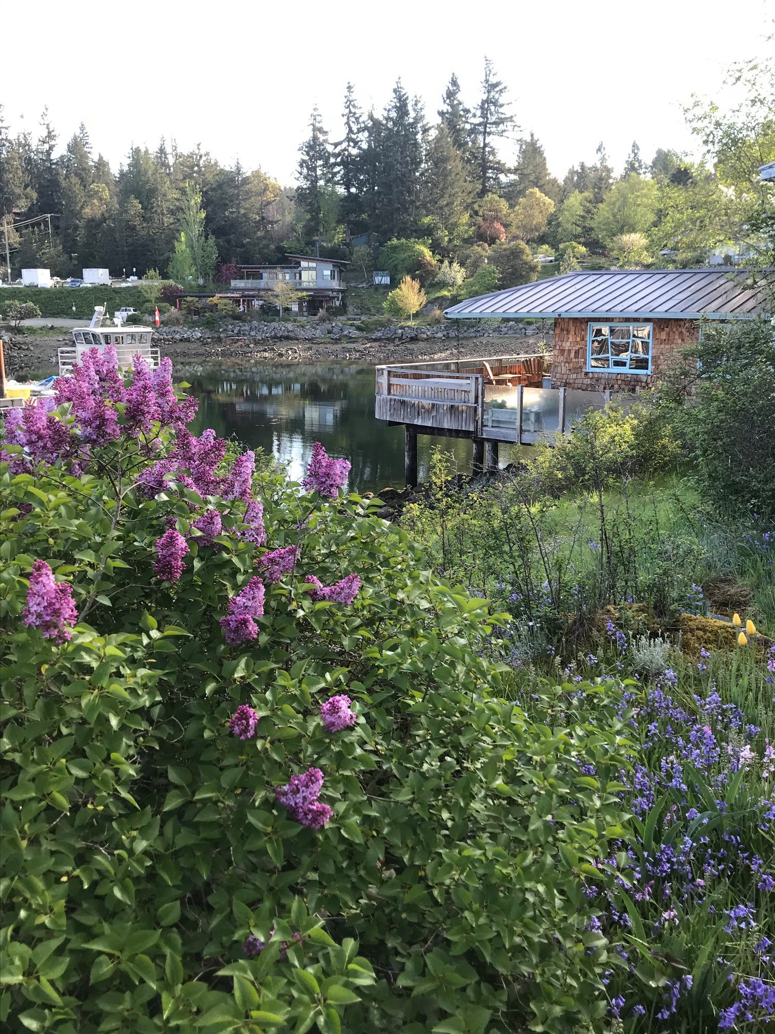 Lund - Spring at the Lund Harbour House Since it was a shack in the ...