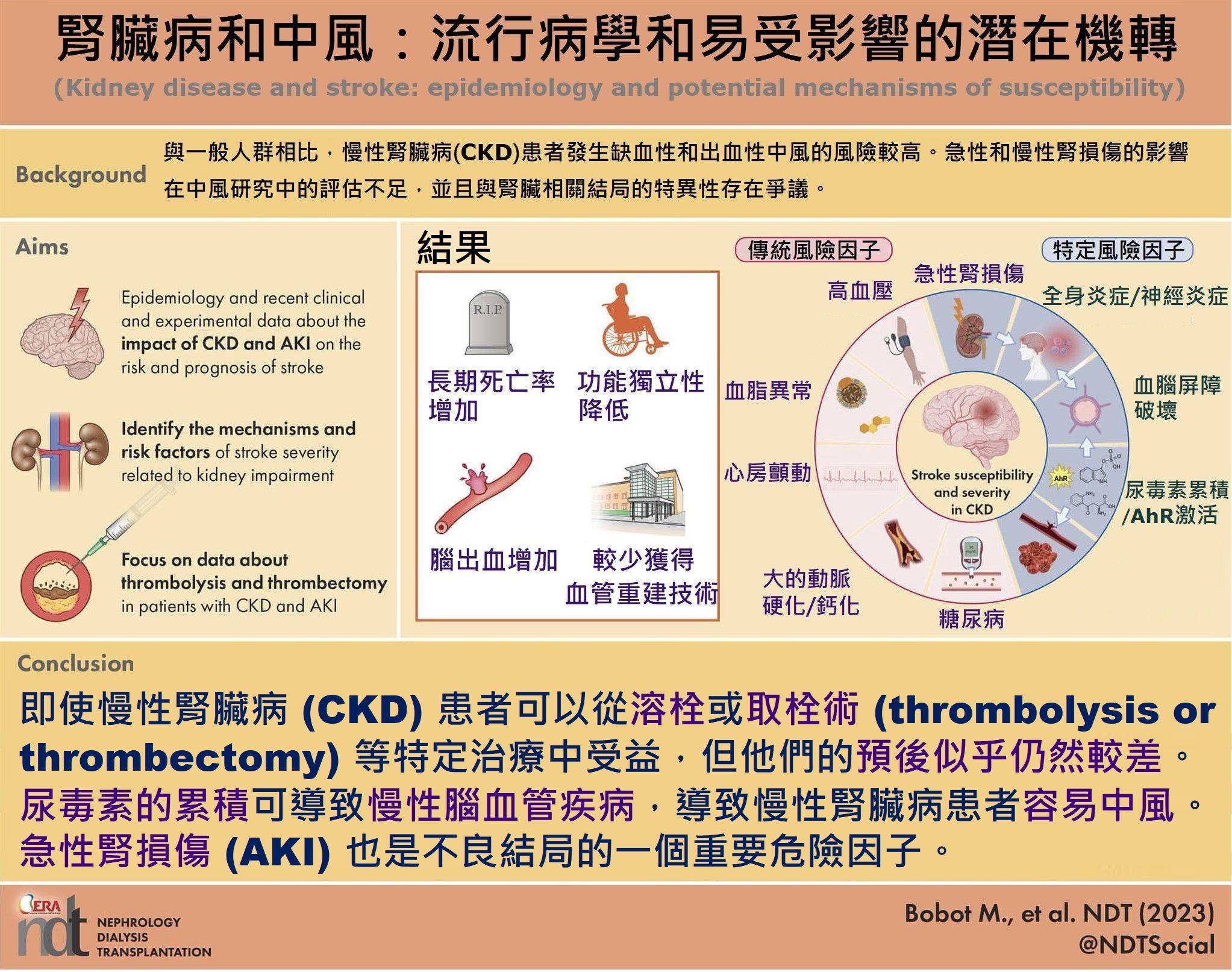 臨床筆記社團 | # **🛜腎臟病和中風：流行病學和易受影響的潛在機制** (Kidney disease and stroke ...