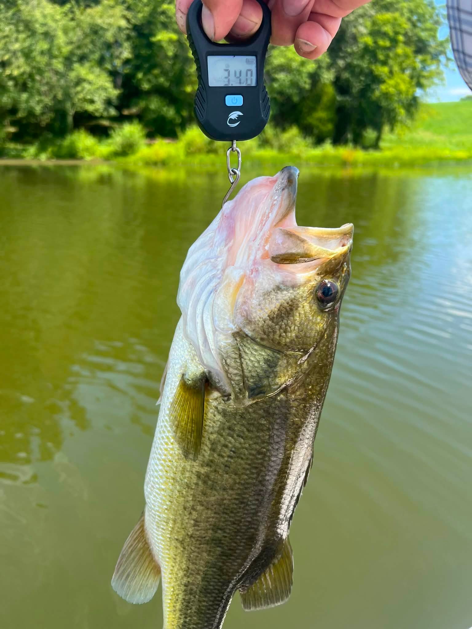 best rechargeable flashlight under 60.00 Fenix PD36R V2.0 - 1700 Lumens police operator and professionals like law Freshwater fishing Reels - Color:Salt-N-Pepper Cisco