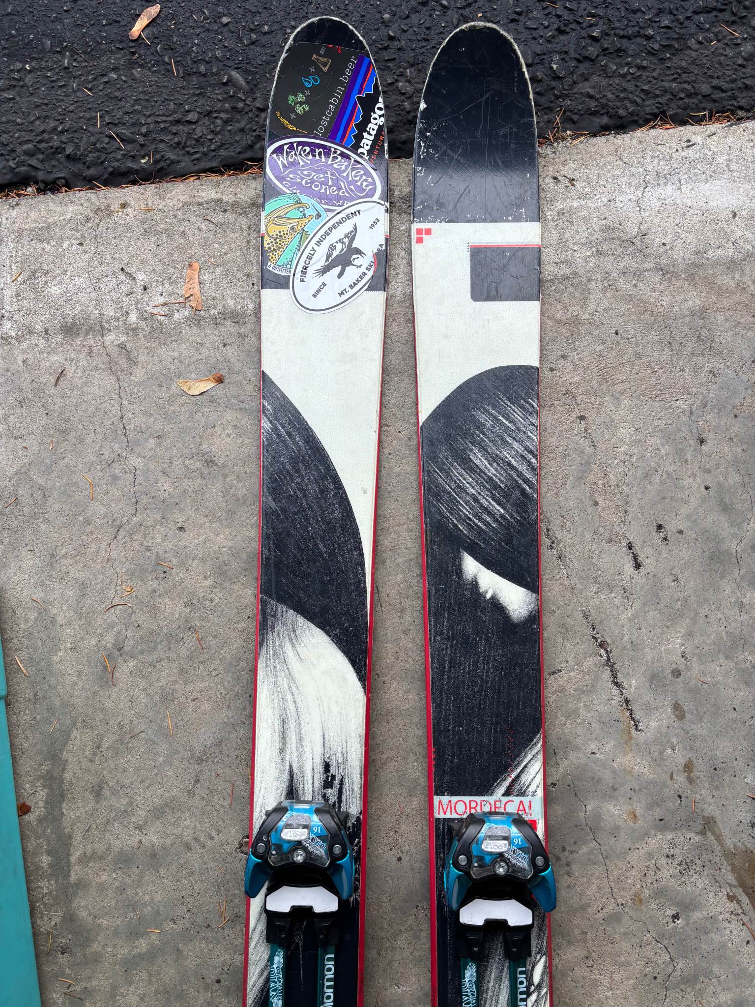 LINE Mordecai 179 Dynafit tlt