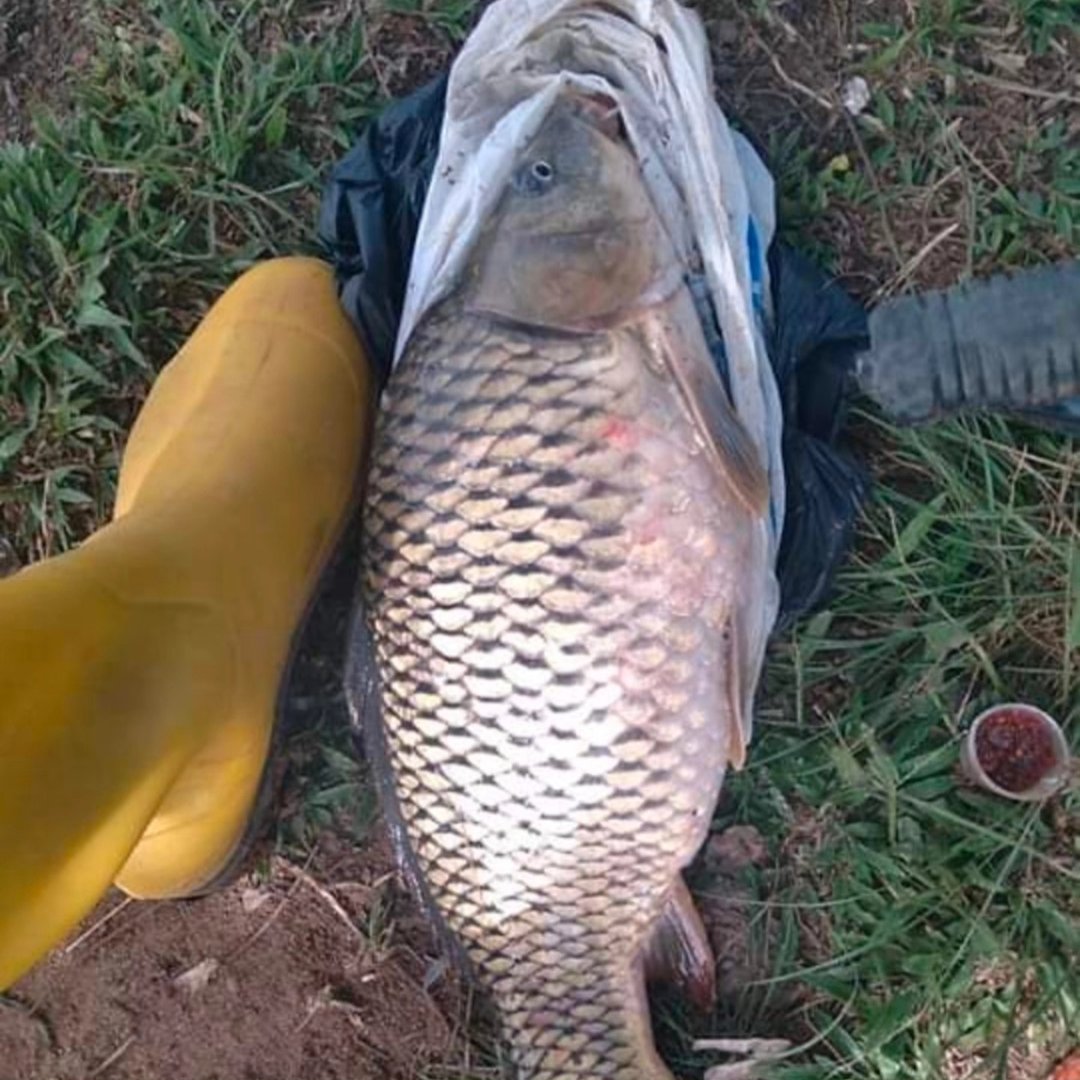 The results of last Sunday's fishing weren't much but it was enough for ...