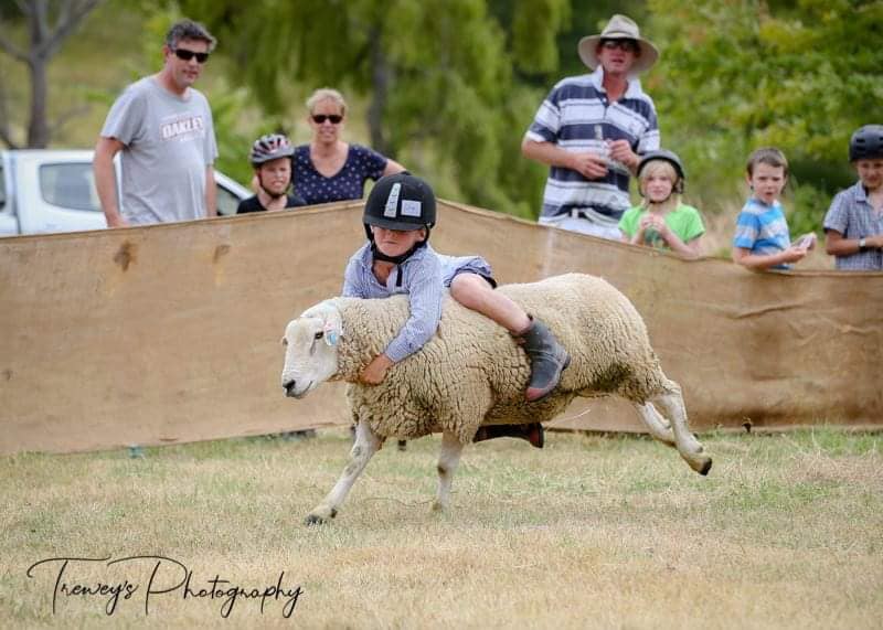 The best ram riding in the Bay and... - Elsthorpe Sports Club | Facebook