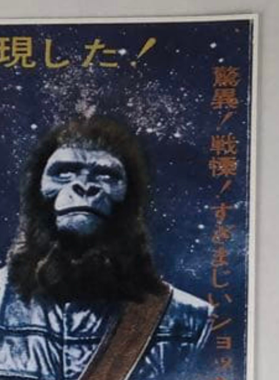 また本物として販売されている、映画チラシの複製(雑誌の付録)のフリマ
