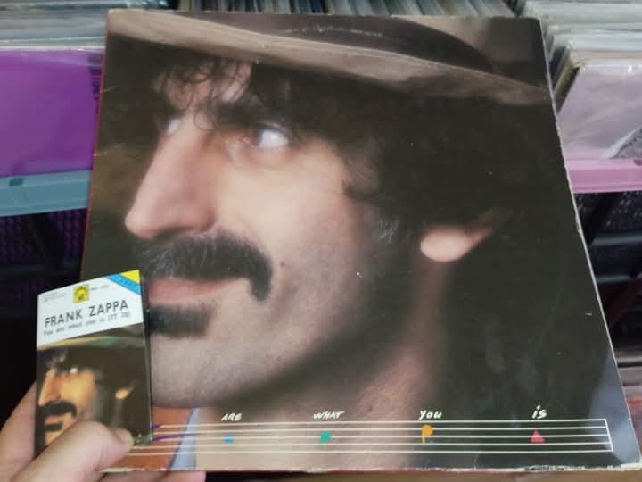 Zappa “You Are What You Is” feat. Ike Willis
