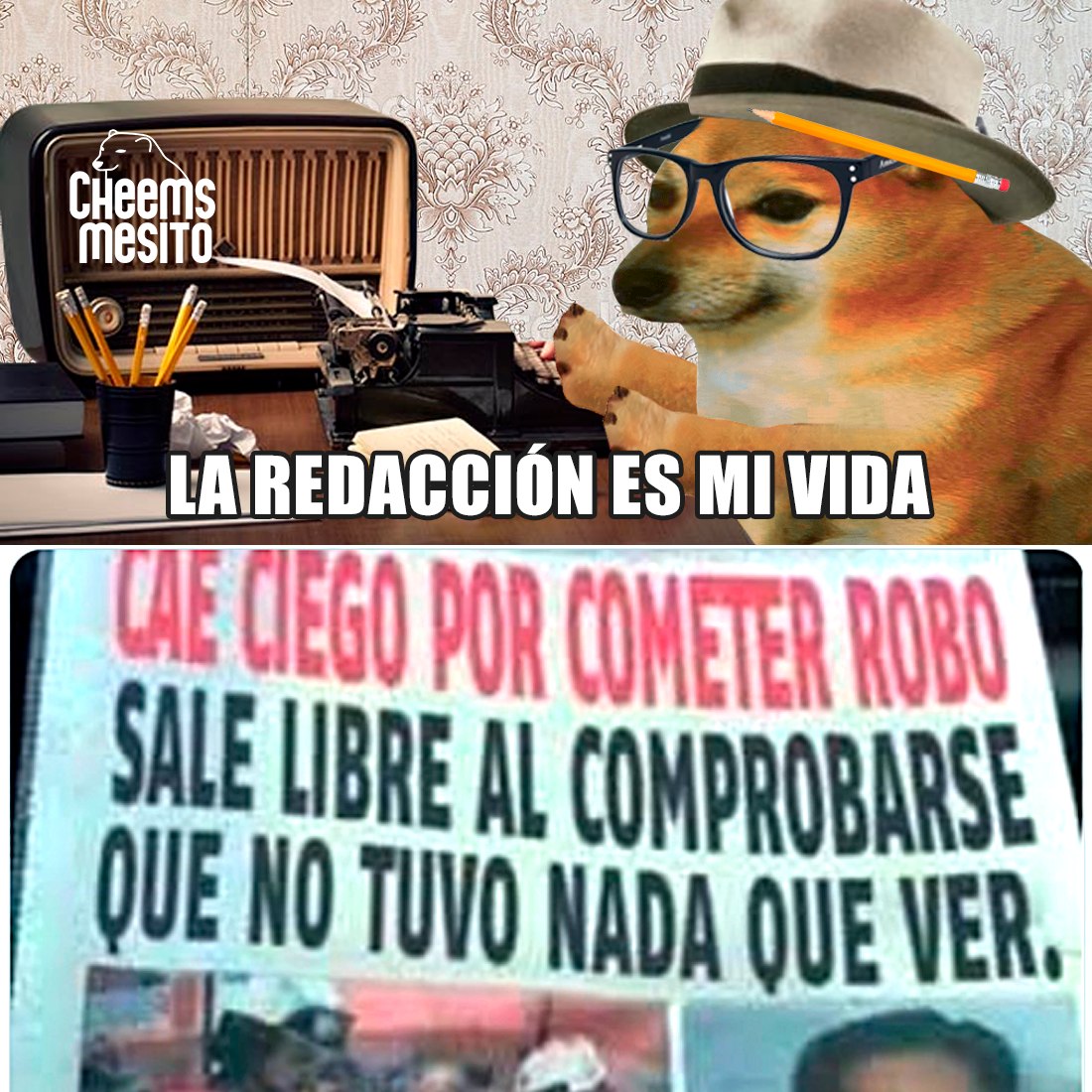 Cheemsmesito - ⌨️🐕 