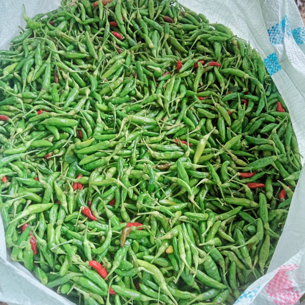 Rasli - Berapa laku hade