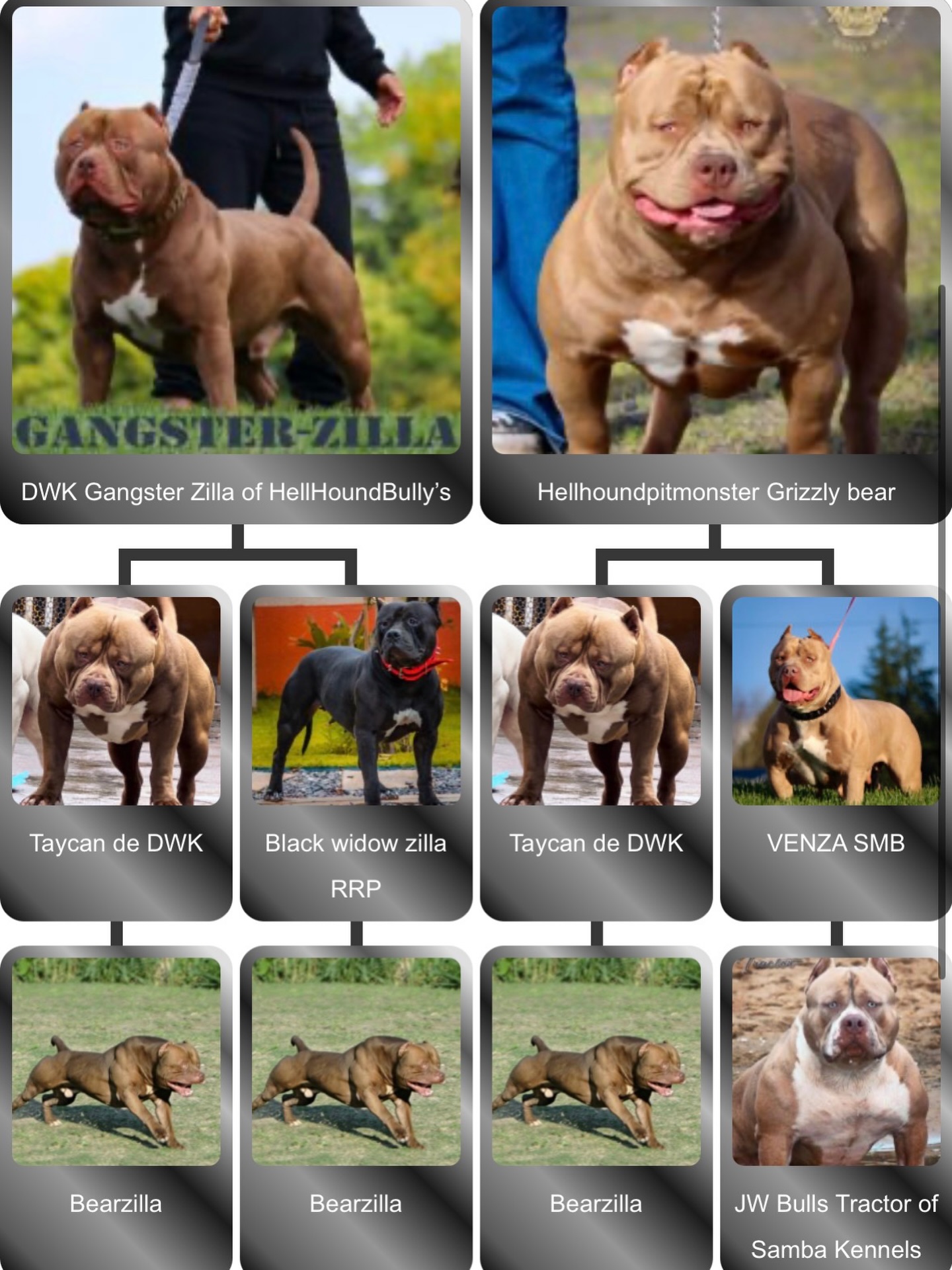 Pitbull 様 What do you guys think should we do this next here at 𝕳𝖊𝖑𝖑