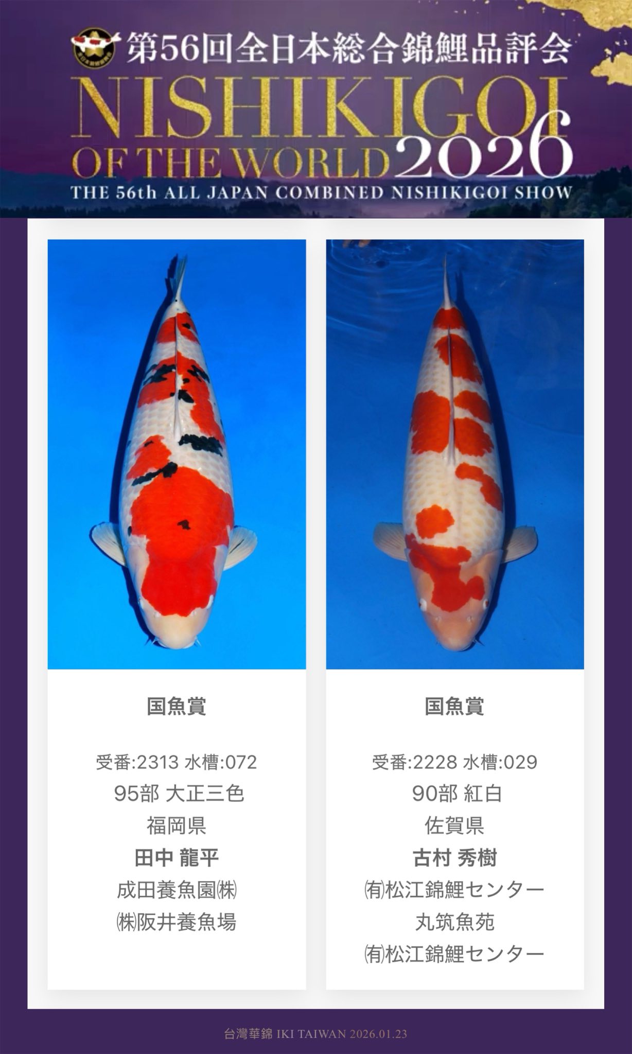 第56回 全日本総合錦鯉品評會 國魚賞 Kokuyo Prize 恭喜愛好家、業者