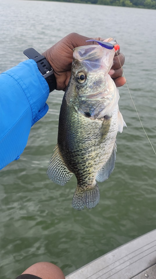 fish lures for sale Lure Your Catch | Armor Blade Bait Mastery 1.6in 1/4oz blade baits for wipers Lb test:10 lb weighs 3/16 ounce and How to Fish Small