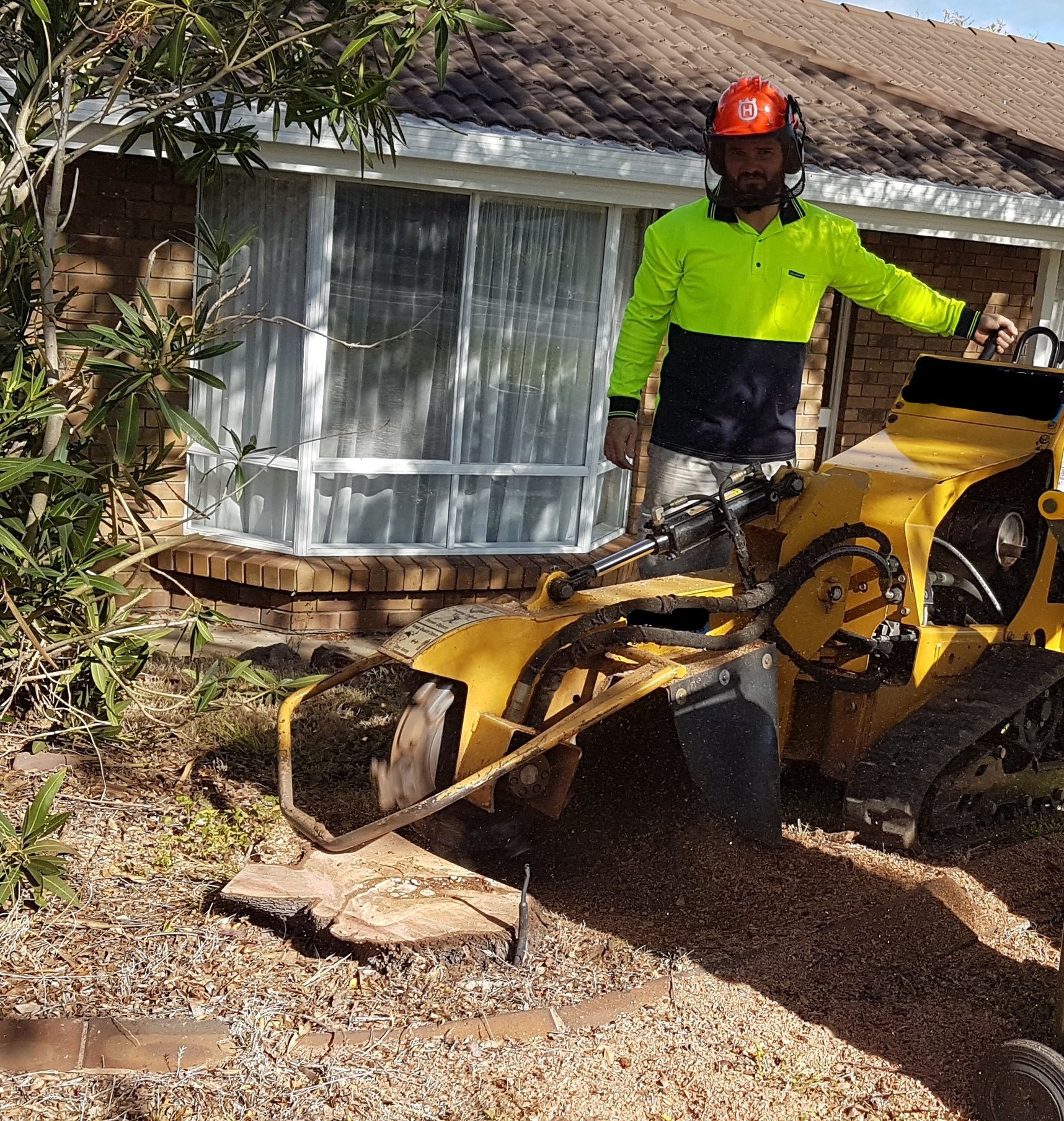 Affordable tree & stump services | Adelaide SA