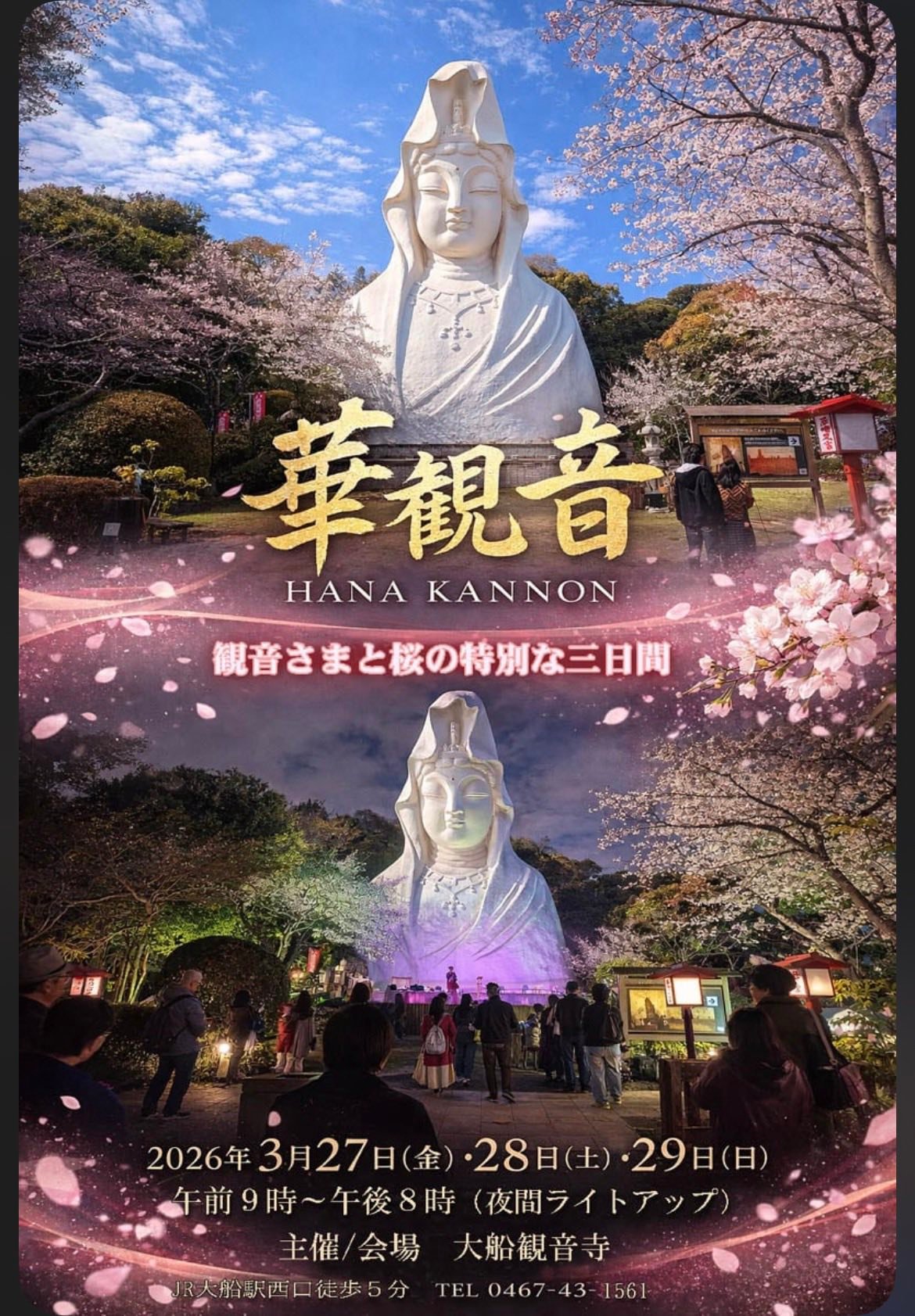 華観音 大船観音寺 華観音のお知らせです