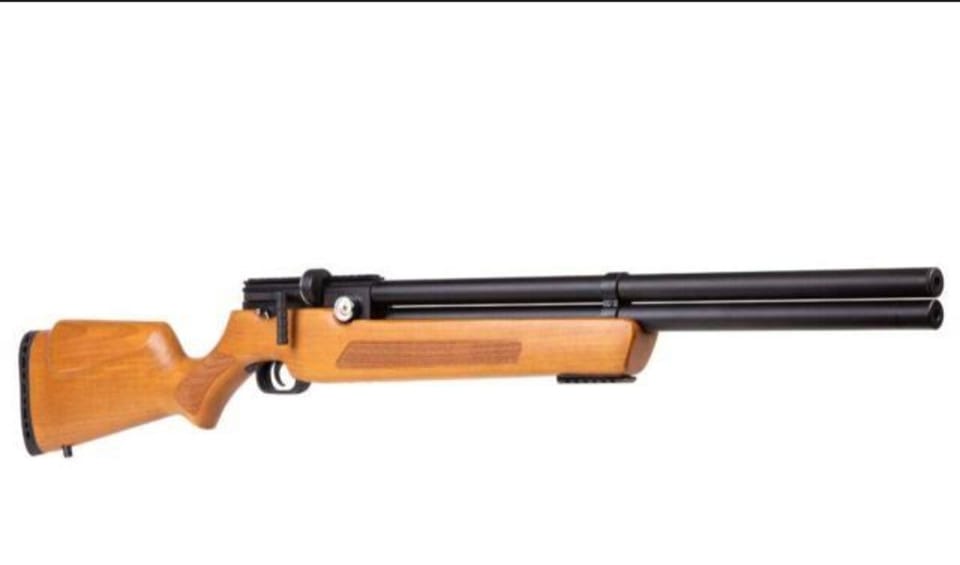 pellet gun hunting group | What do you guys have for 2200 | Facebook