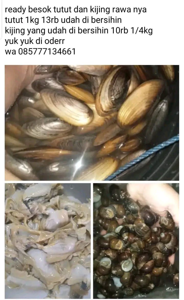 Jual beli perum BCM,PCS,BIP,WAHANA,BCA,GRIYA CIANTRA,CP | Ready ikan ...