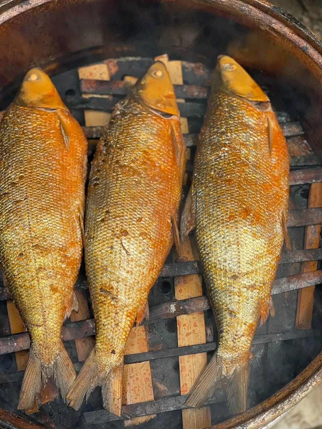 GCan Fish Products Trading | Cagayan de Oro