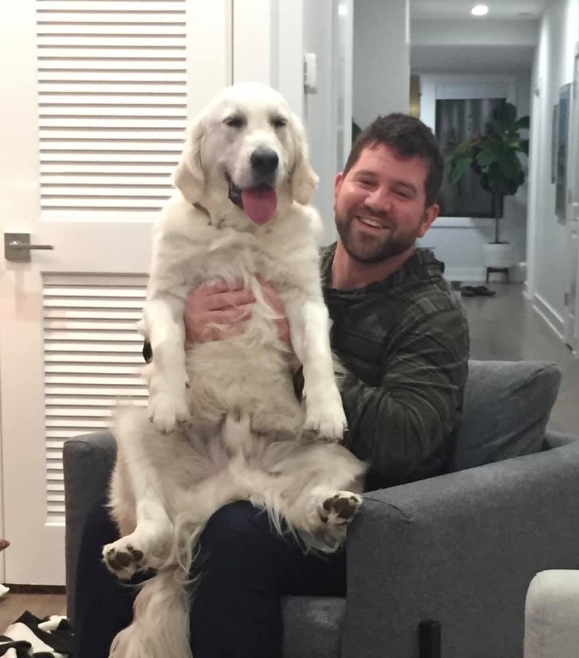Happy Father’s Day from Blum,... - VCA Blum Animal Hospital | Facebook