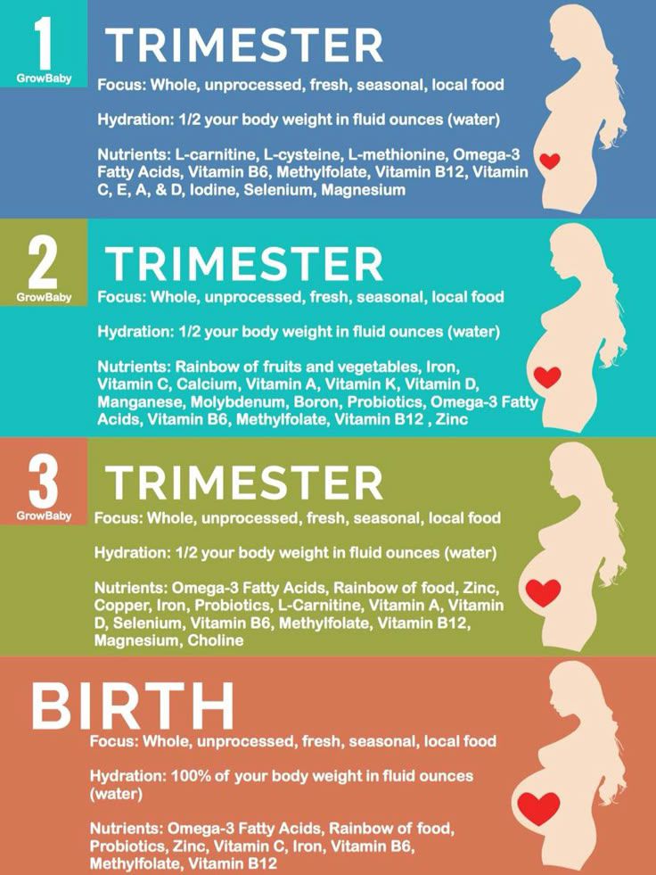 TRIMESTER Focus: Whole, unprocessed, fresh, seasonal, local Hydration: 1/2 your body weight fluid ounces water Nutrients: L-carnitine L-cysteine L-methionine Omega-3 Vitamin B6 Methylfolate Vitamin Selenium Magnesium TRIMESTER Whole unprocessed fresh