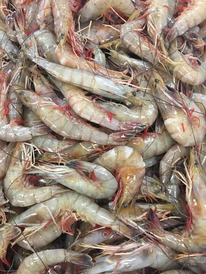 The one and only D.I.P Seafood-MUDBUGS - Mudbugs -DIP Seafood